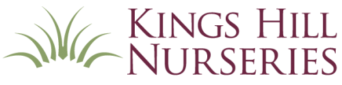 Kings Hill Nurseries